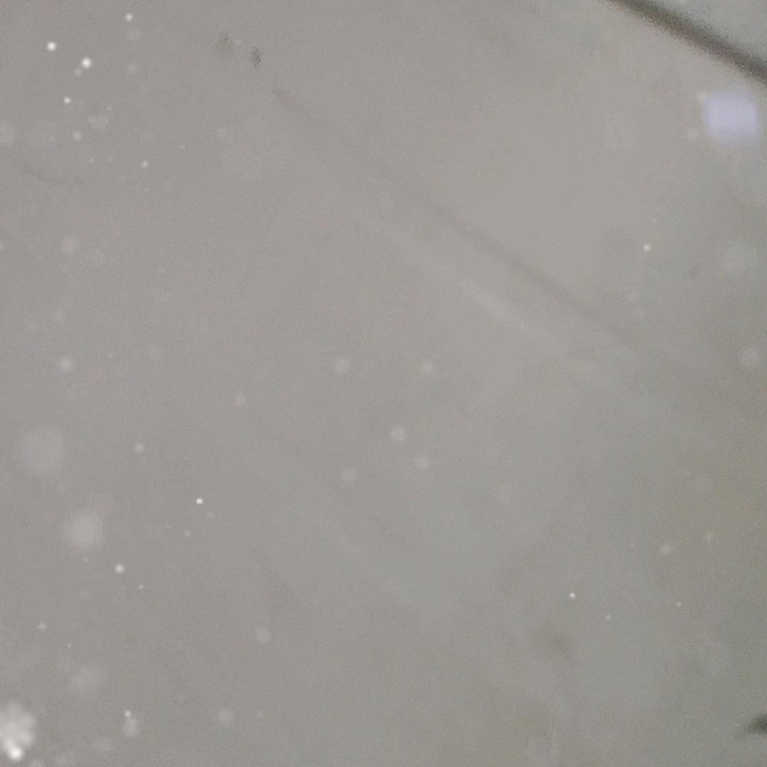章