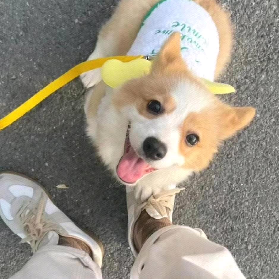 悲伤玉米炒肉丁