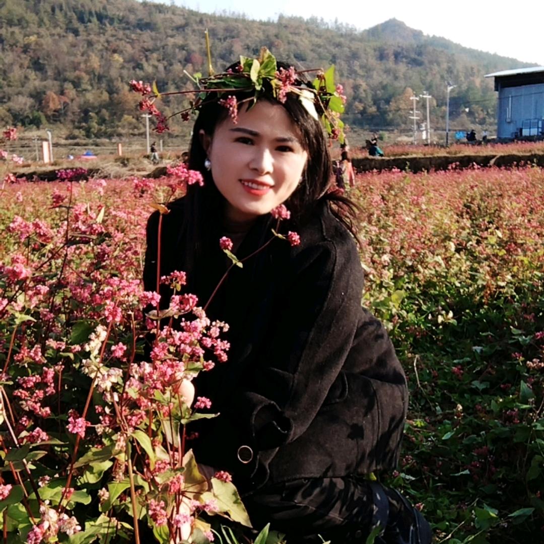 菜菜🌺🌺