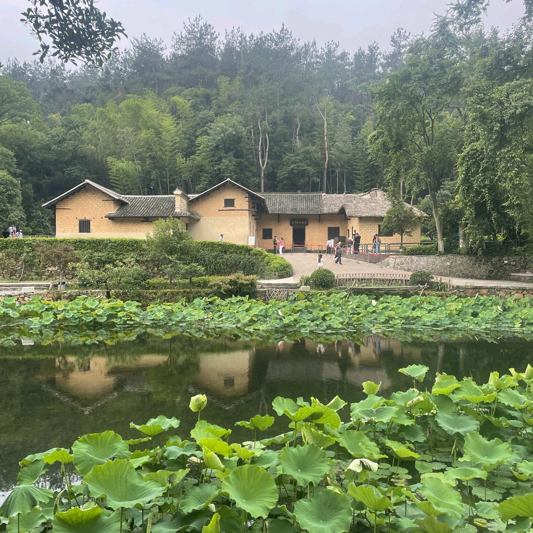 韶山旅游接待咨询