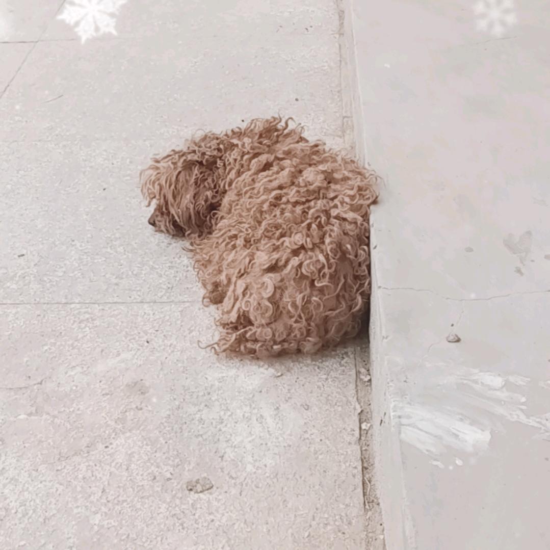 记录一下每天日常生活