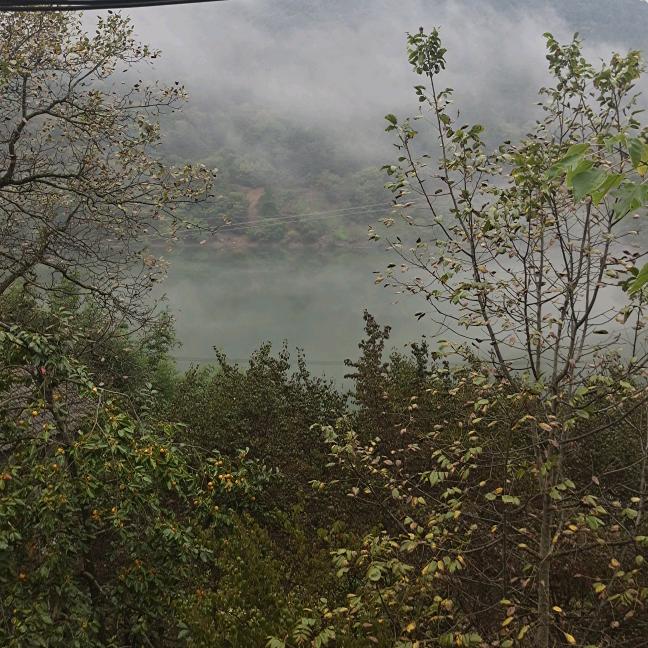 🏦亿鈊🌾求财💫