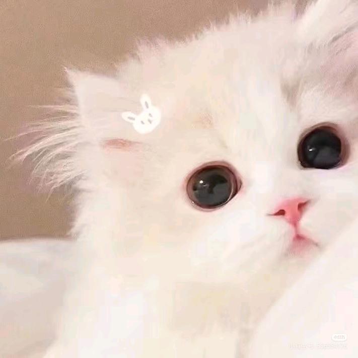 成