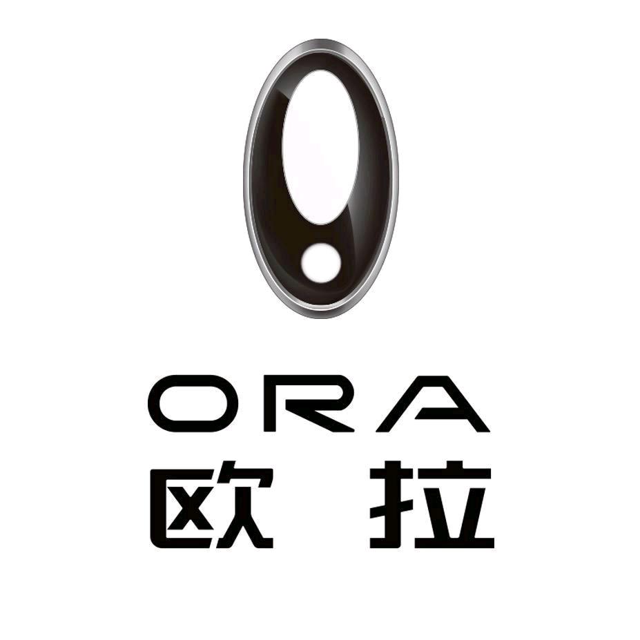 杭州元之梦欧拉-小张