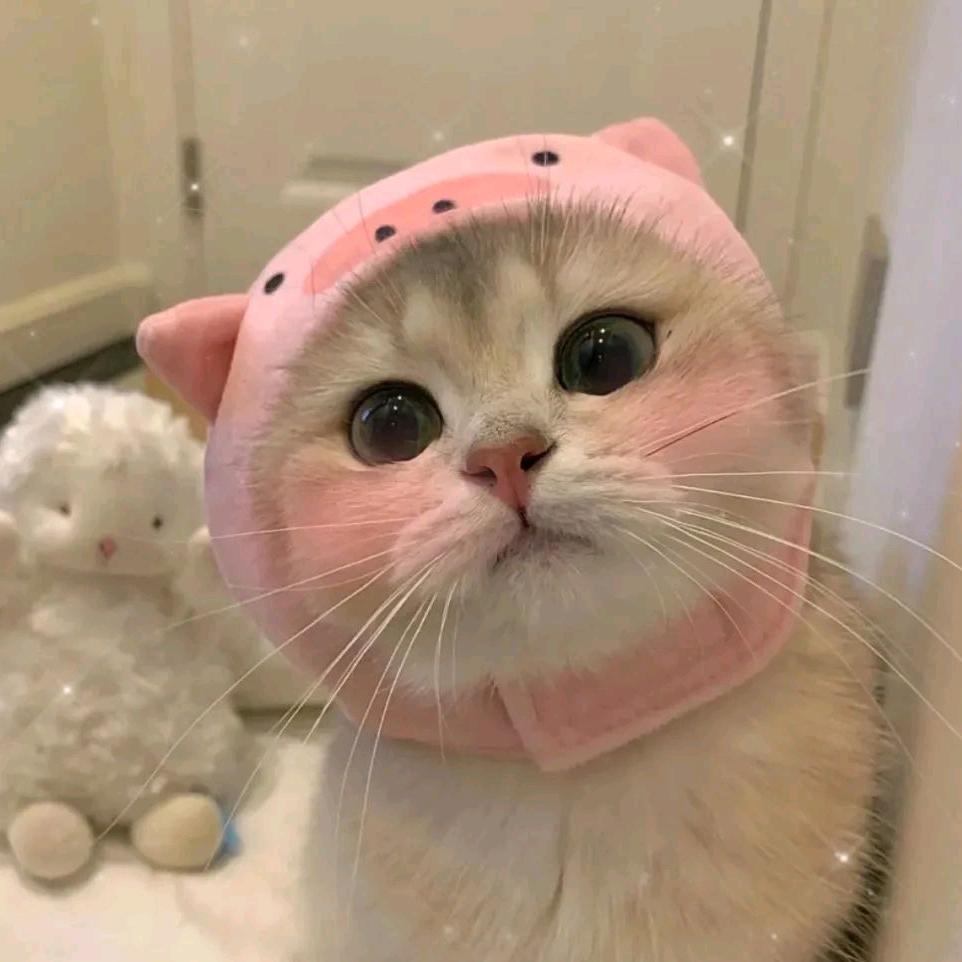 方语墨墨