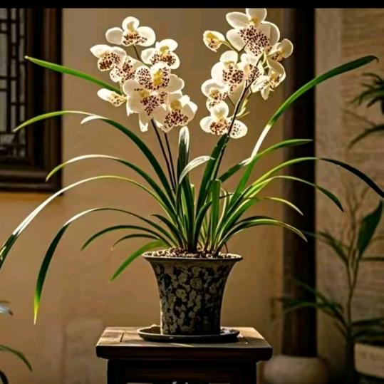 踏山河❤️行萬裡