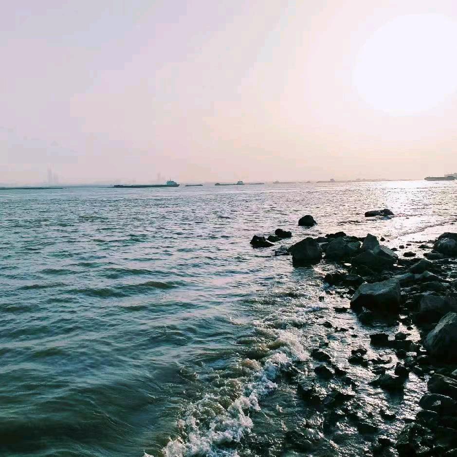 小秦多肉小院
