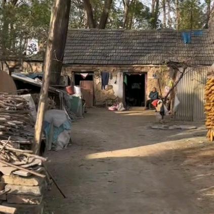 亮哥(优选 农村好物)