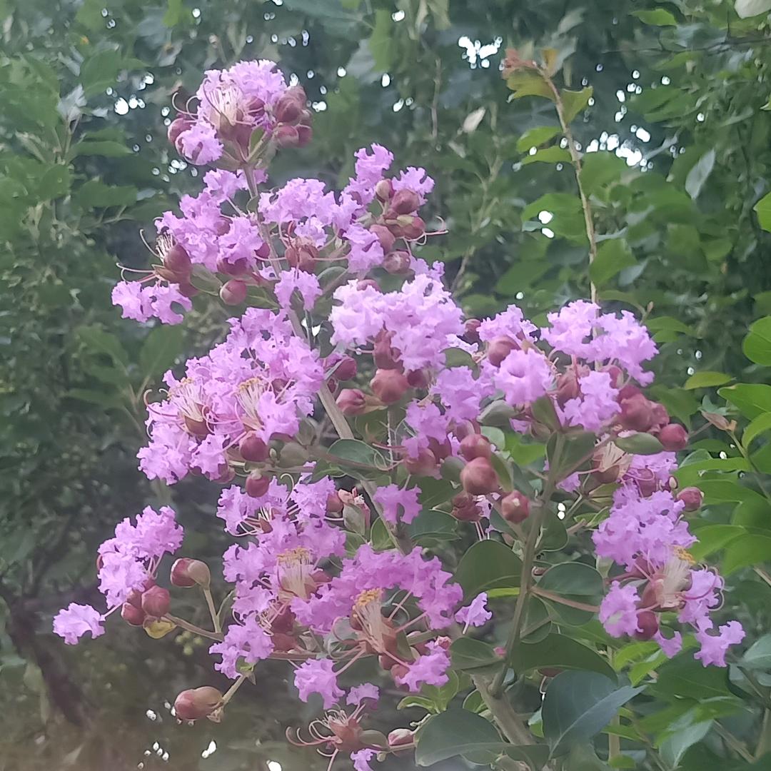 在恩典中享受生活！