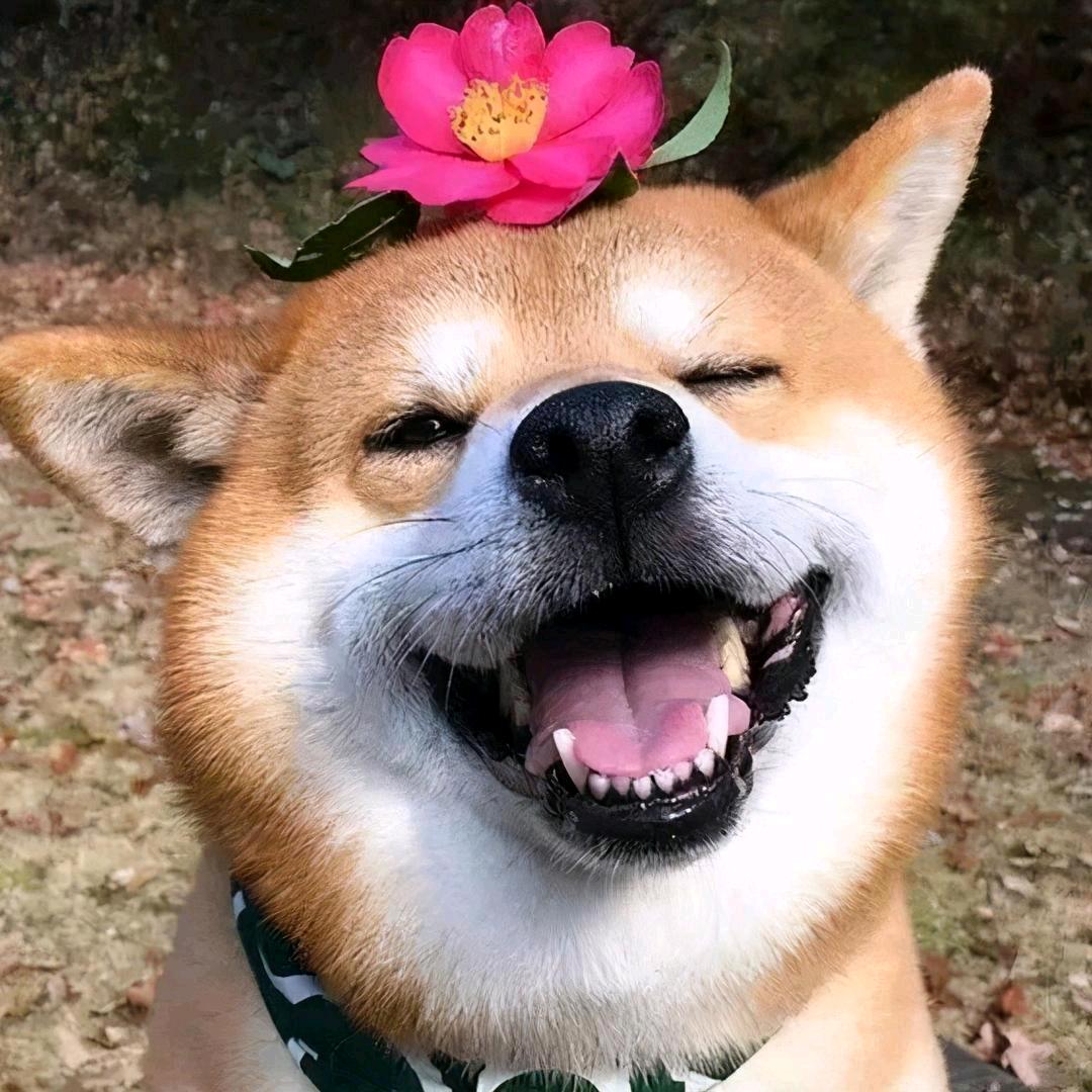 𝓜.小明