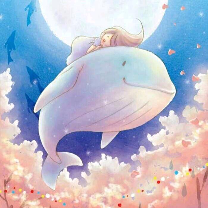 一只小鲸鱼