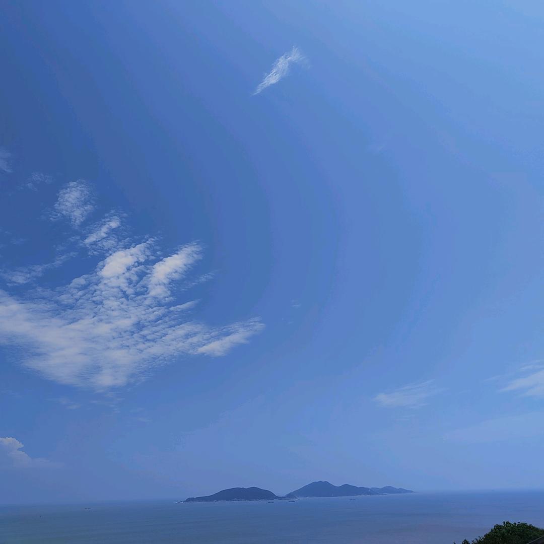 张益呈茶叶