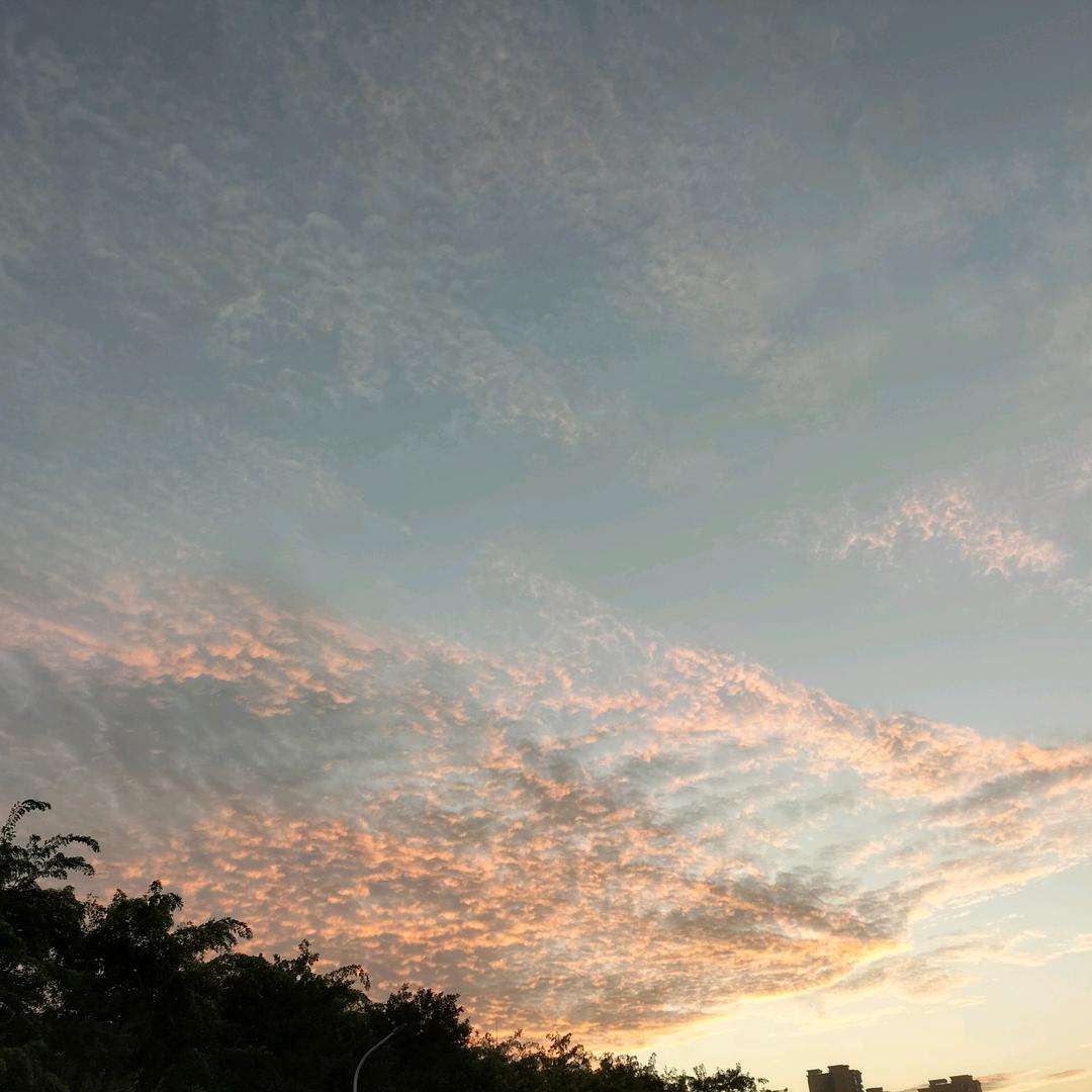 ᰔᩚ.与风说心事ꦿ