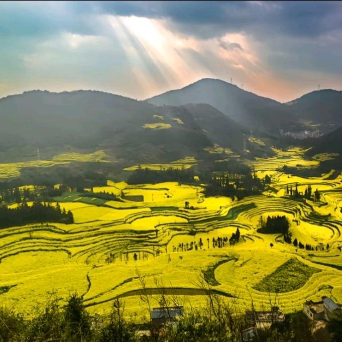 瑞丽门窗安装