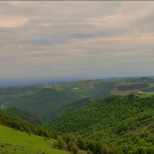 无忧向阳（幸福相伴）