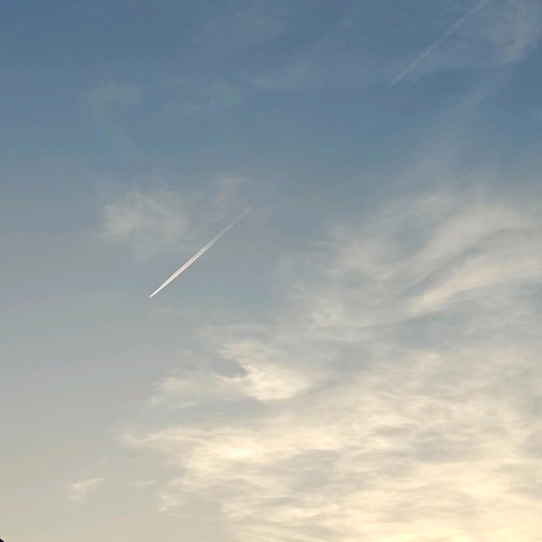 竹雨柒（六年之约）