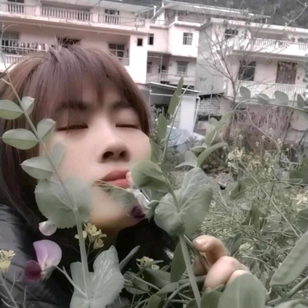 6就是六🤓