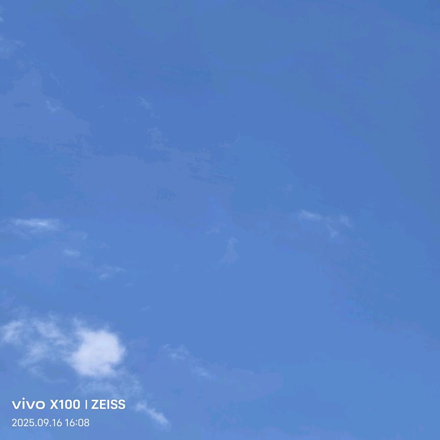 何必