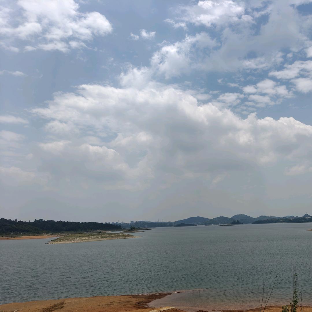 风雨无阻赵