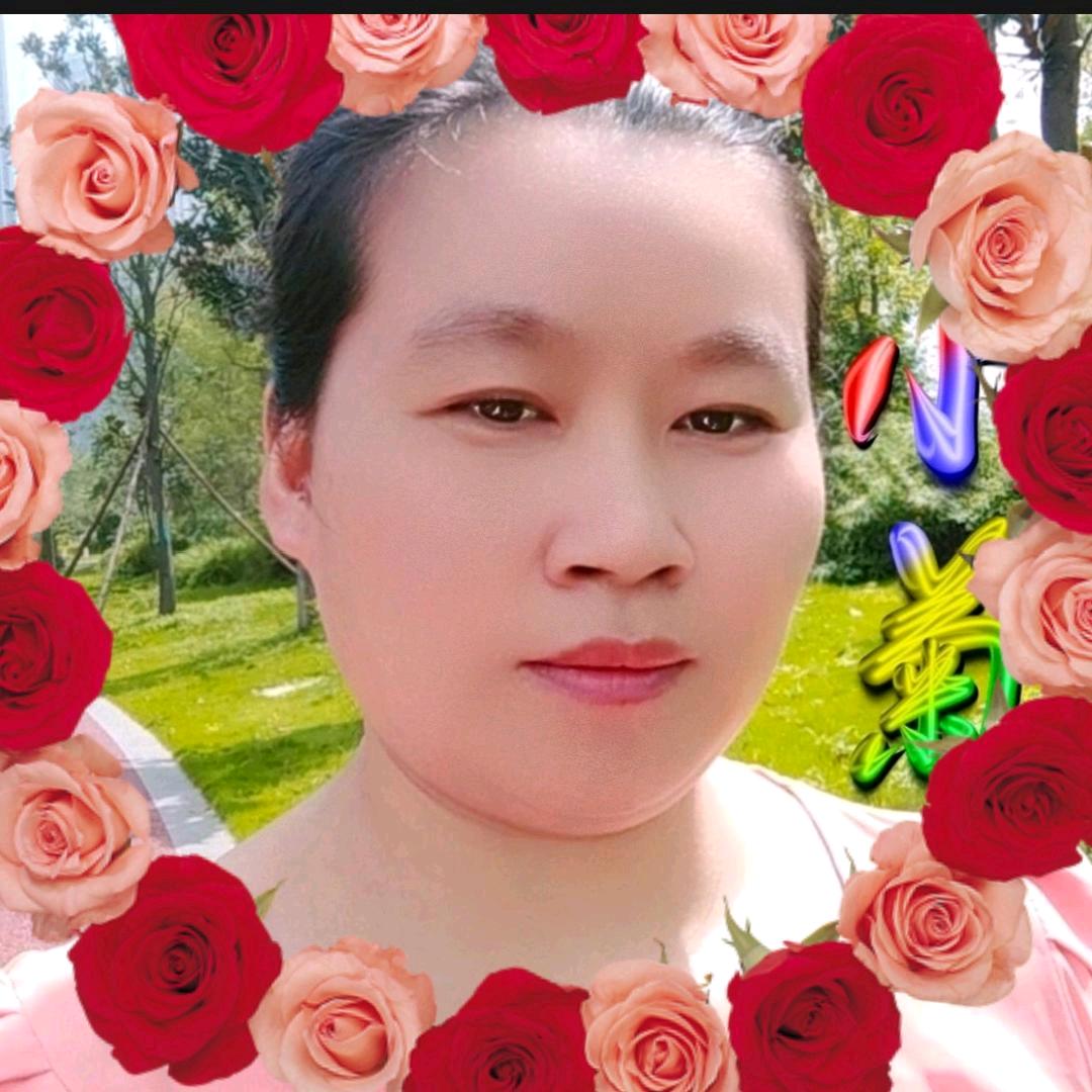 小菊