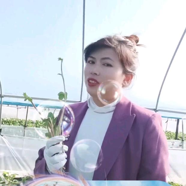 包包旅游草莓姐姐