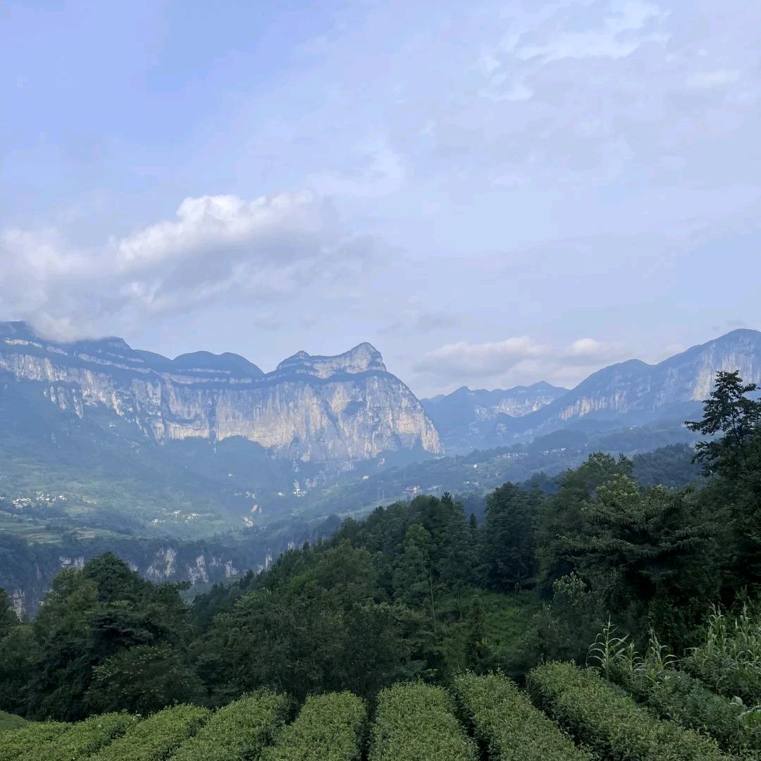 小红带你玩