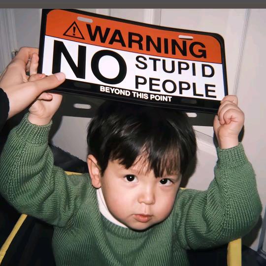 扶老奶奶闯红灯