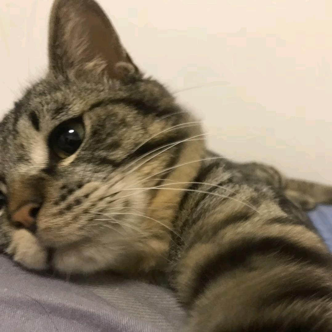 以至于