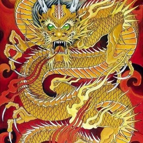 龙游天下