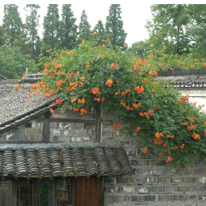 法律公正吗？？？