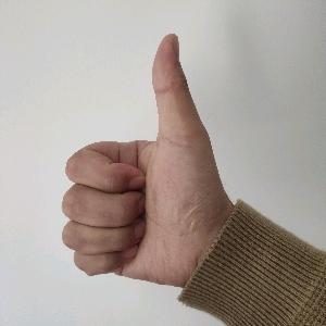 初一和十五【三角洲小狗】