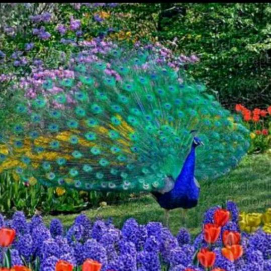 简单点，糊涂点，开心点