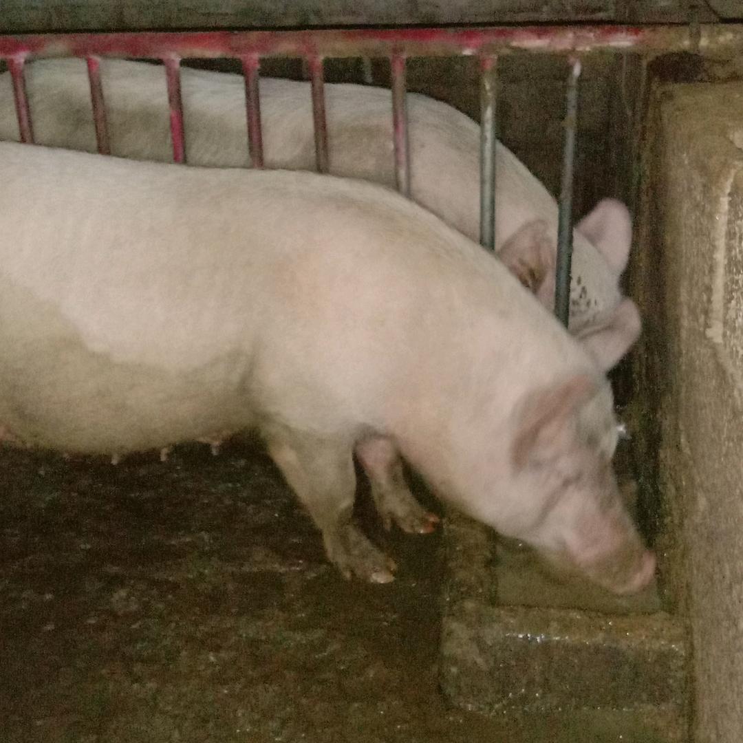 老公过来啊19176200115