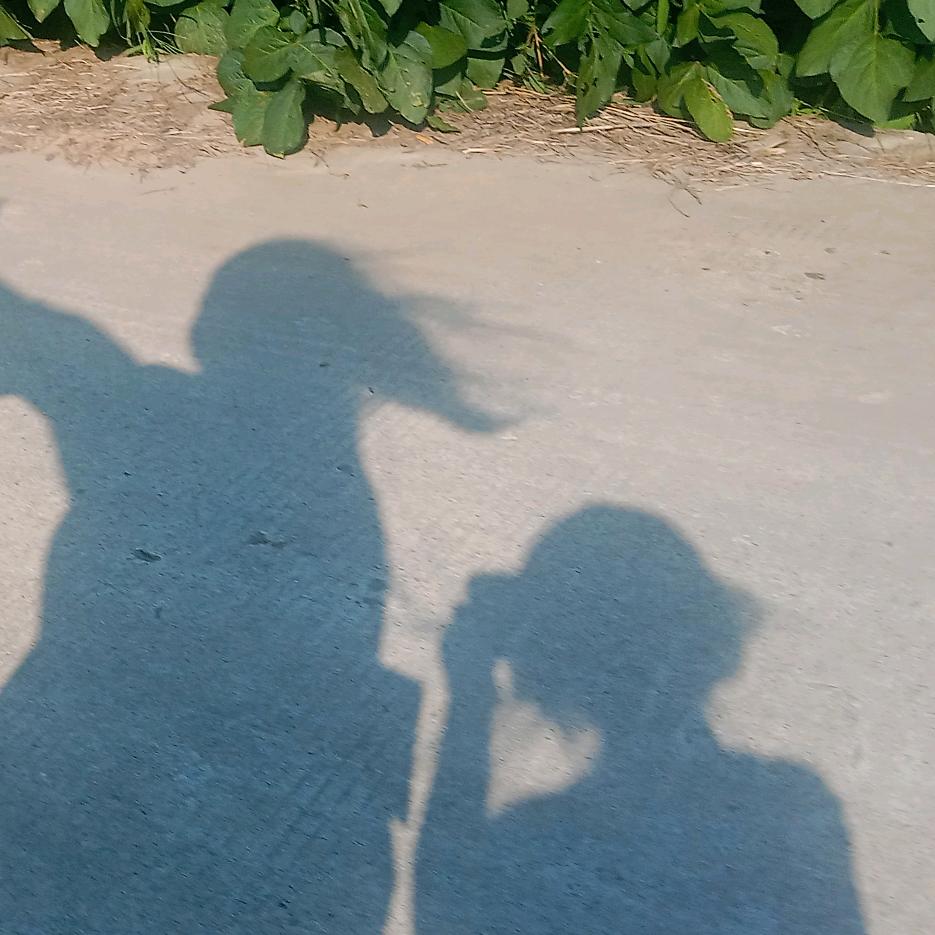 四分地《不定时直播》