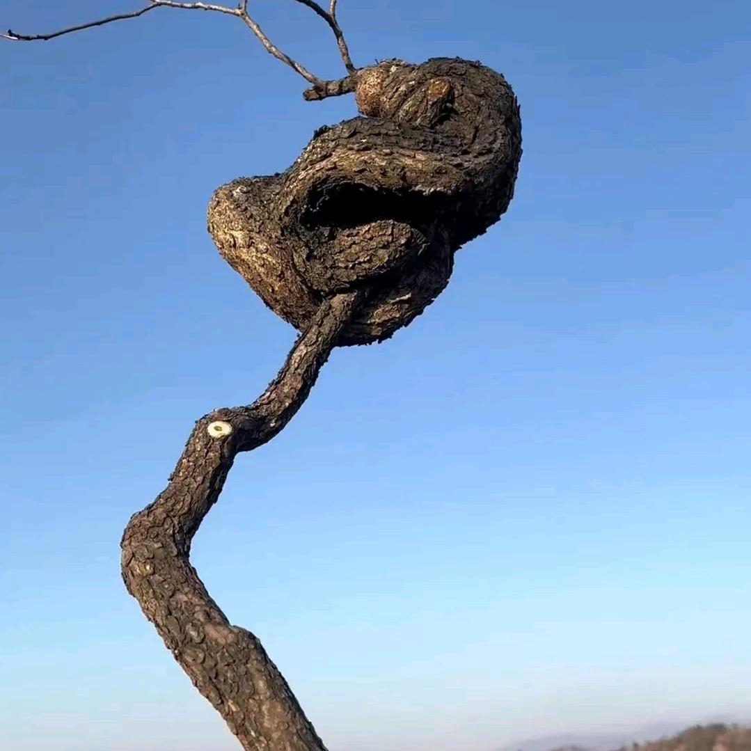 《二构》专业团队-上材料