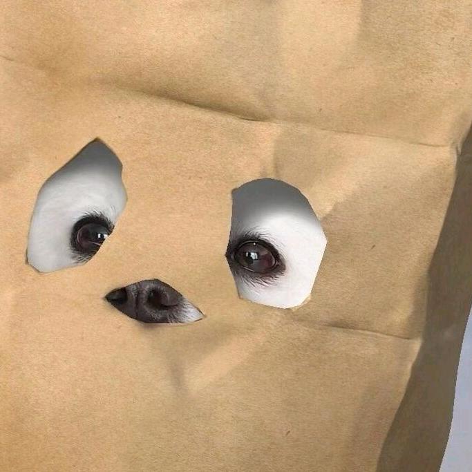 小云（晋级赛）