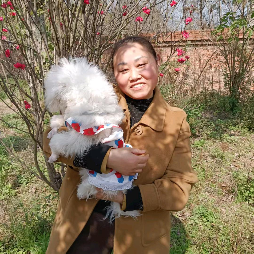 😄天天开心