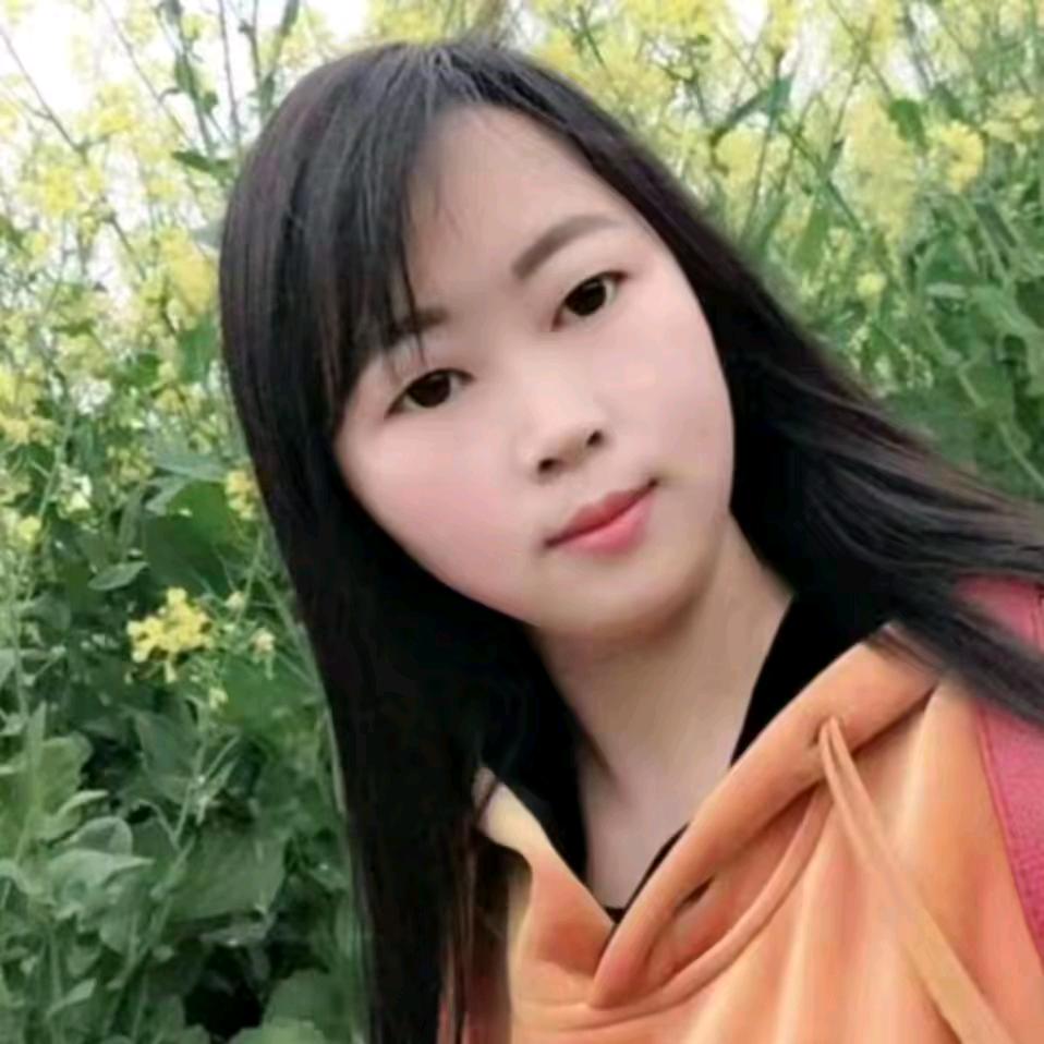 丫头丶