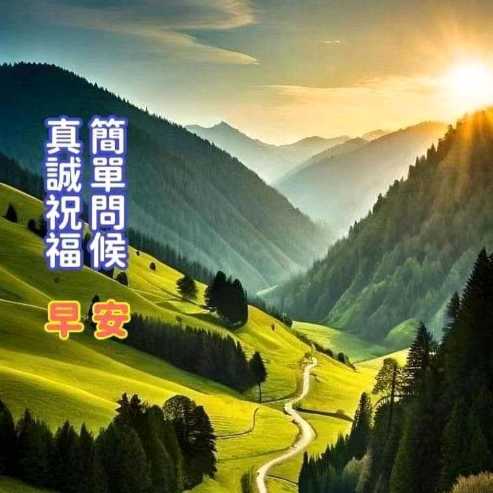 流金岁月13*14*999