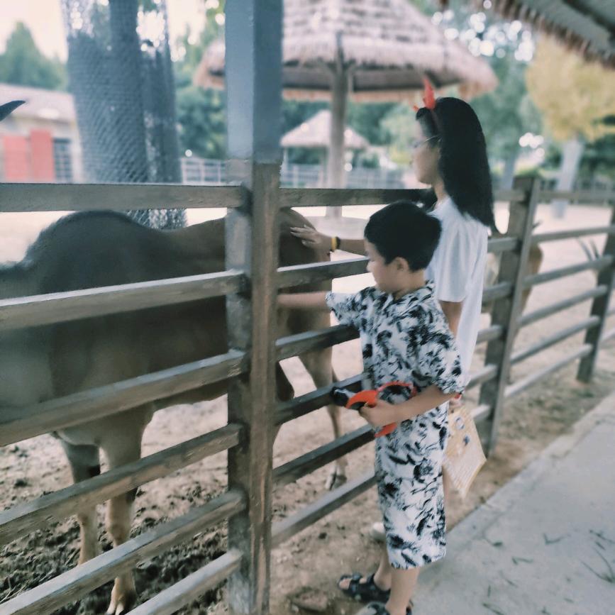 🌷一切安好🌹