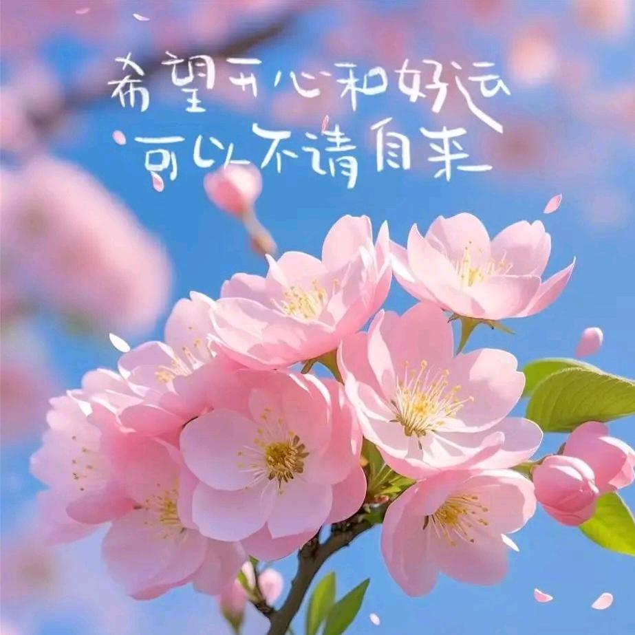 慧儿