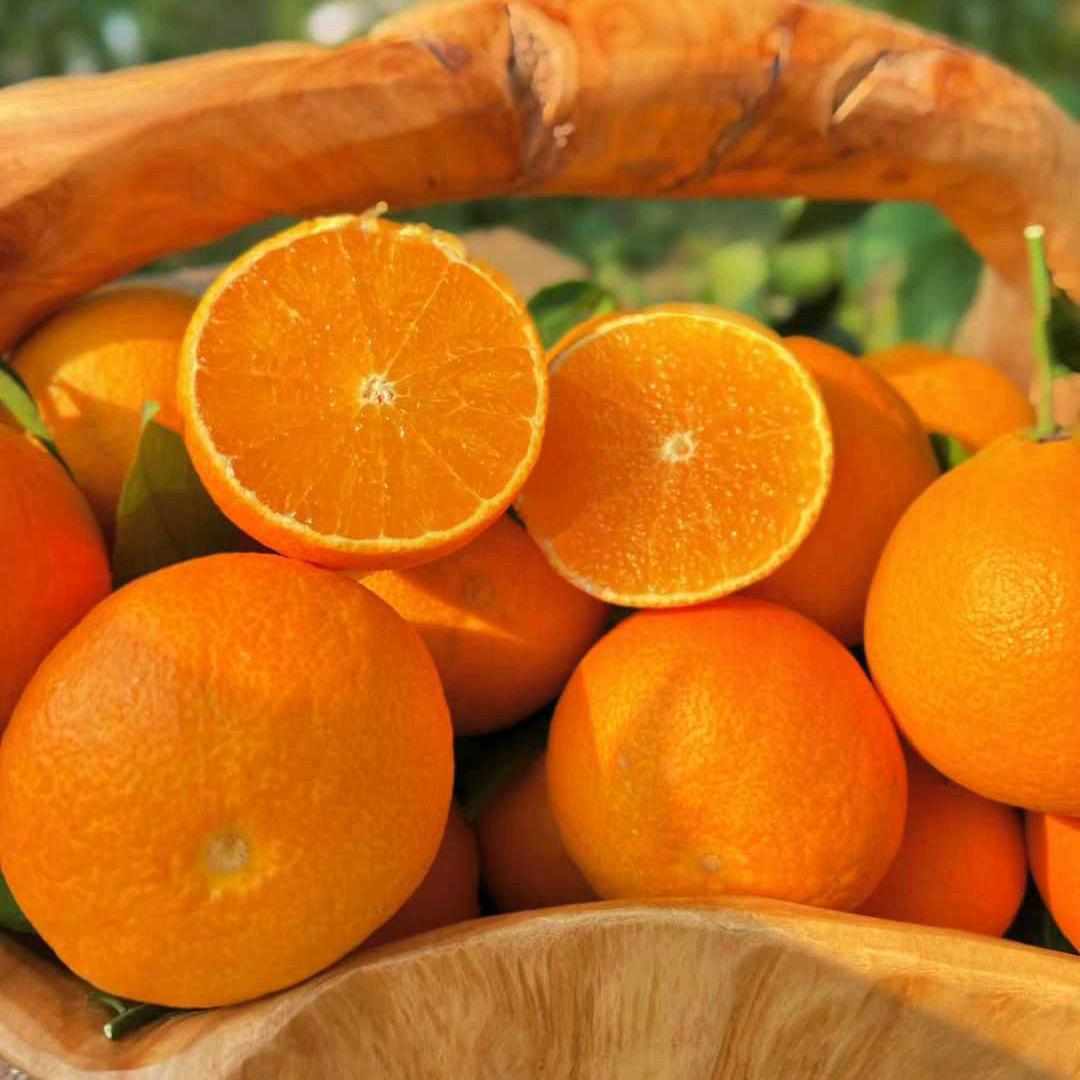 橘橙柚瓜果代办