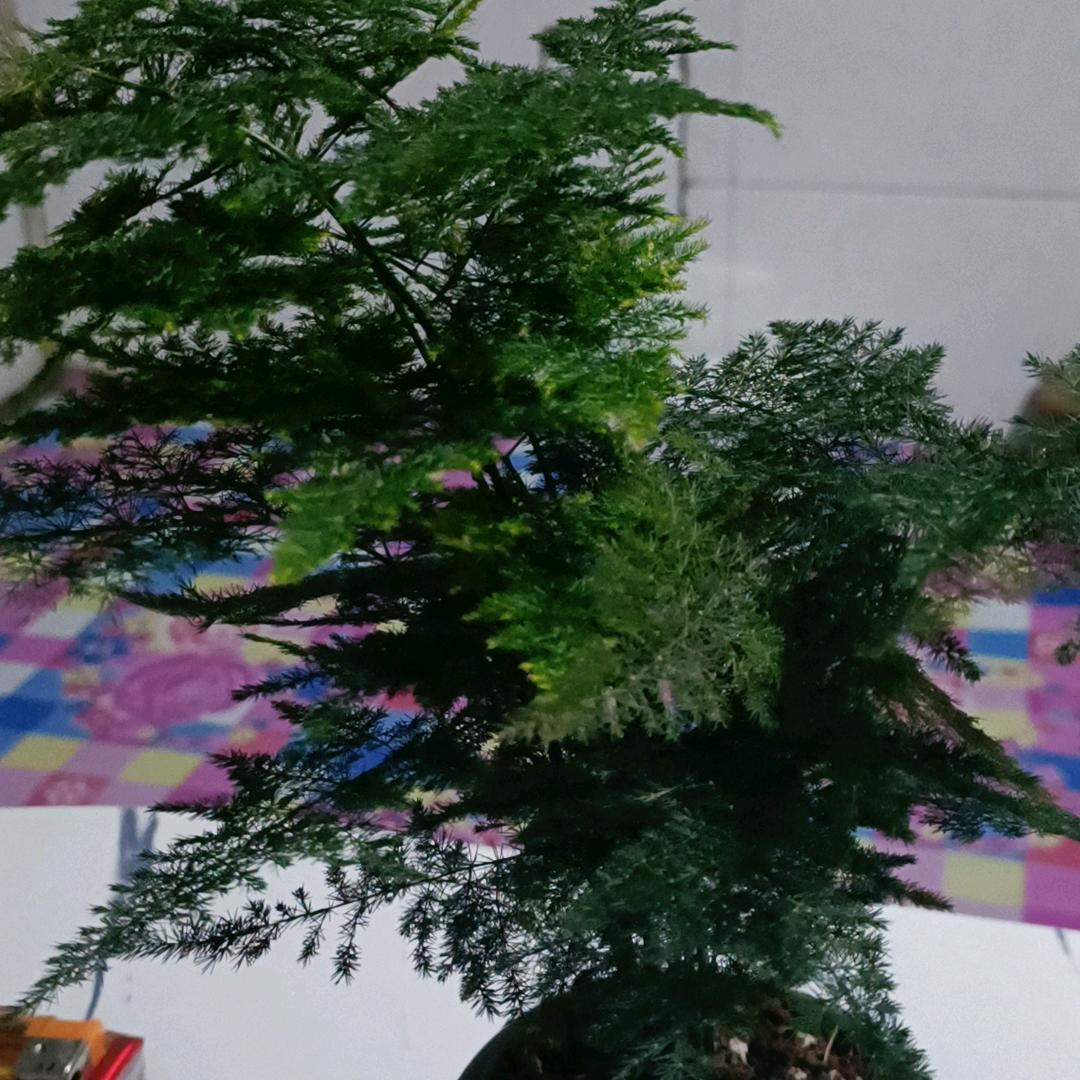 随手拍日常生活