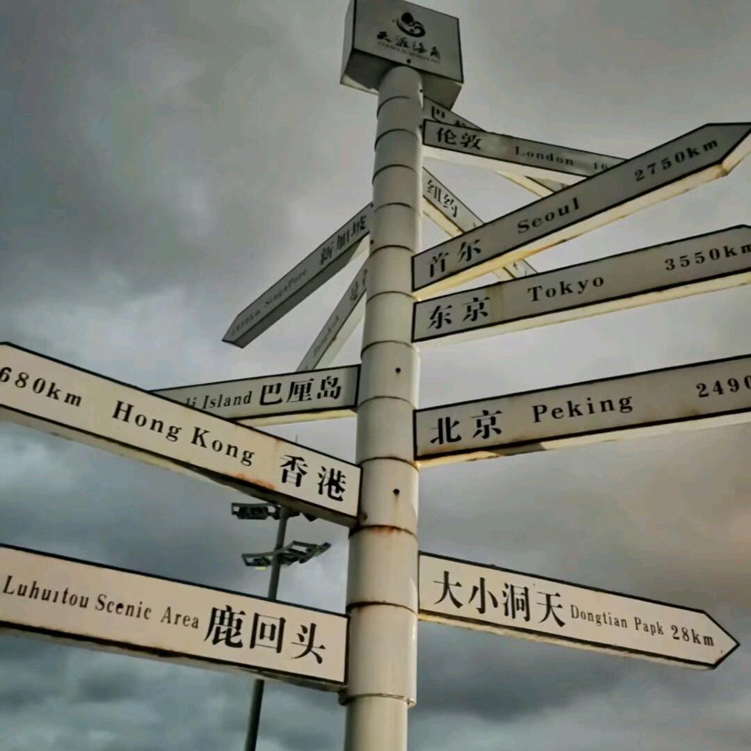 追忆似水年华。