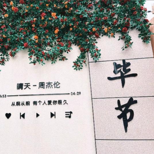 @小杨同志