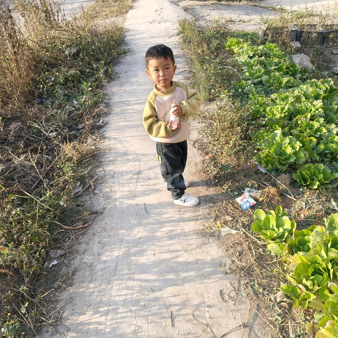 黄菇凉
