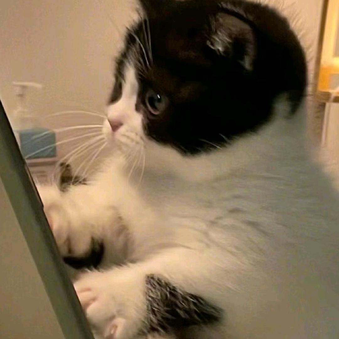 ㅤㅤㅤㅤㅤㅤㅤㅤㅤㅤㅤㅤㅤ阿悦