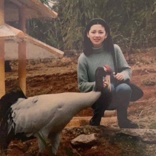 大姨姐（助力寻人专家）