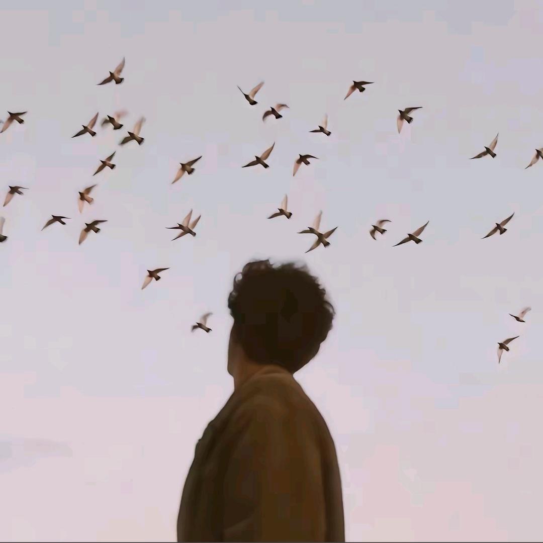 弗兰明