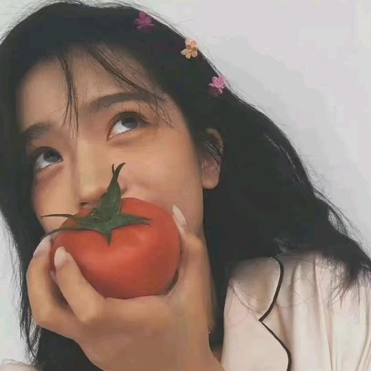 奶油布丁